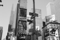 New York (21)